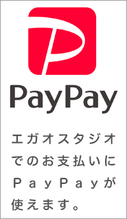 PayPayg܂B